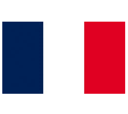 Corso di lingue straniere personalizzato – francese